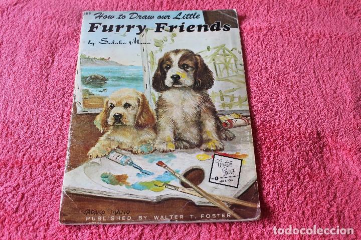 Livres d'occasion: LIBRO DE PINTURA-FURRY FRIENDS-COMO PINTAR NUESTROS PEQUE&Ntilde;OS AMIGOS PELUDOS