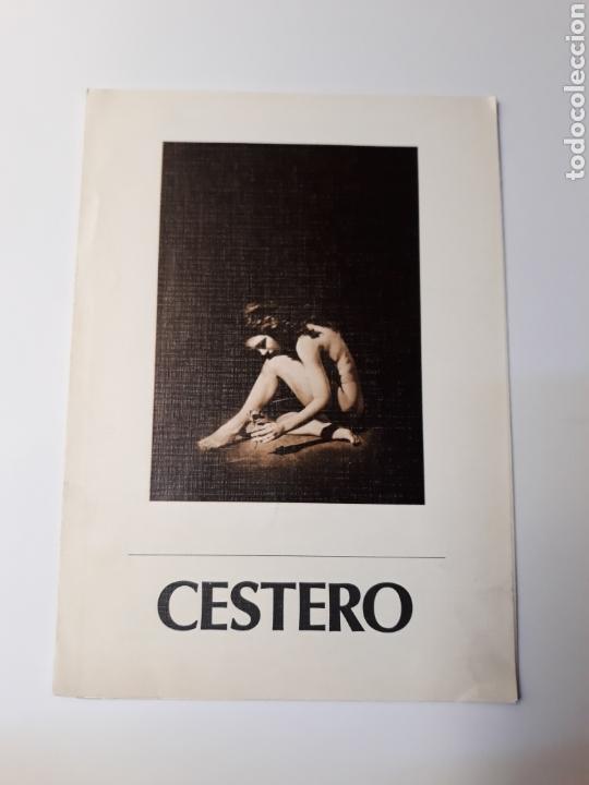 Libri di seconda mano: Pintura galer&iacute;as Sebasti&aacute;n cestero galer&iacute;a Espalter 1982 tr&iacute;ptico