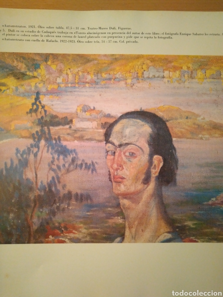 Libros de segunda mano: Todo Dal&iacute; en un rostro. Luis Romero. - Foto 3