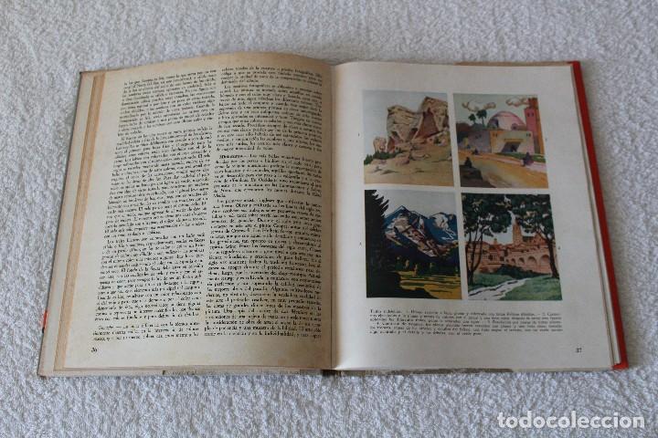 Libros de segunda mano: TECNICAS DE GOUACHE Y TEMPLE - LEDA (LAS EDICIONES DEL ARTE) - Foto 5