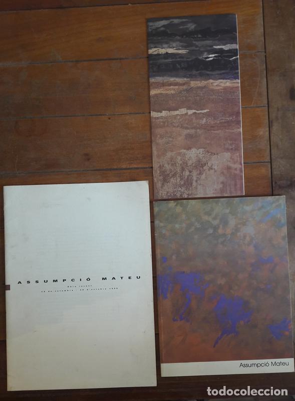 Libros de segunda mano: 2 CAT&Aacute;LOGOS Y UN TR&Iacute;PTICO DE 3 EXPOSICIONES DE ASSUMPCIO MATEU - Foto 1