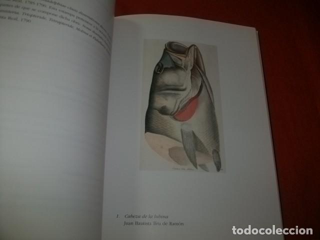 Libros de segunda mano: EL GRABADO CIENT&Iacute;FICO AL SERVICIO DE LA ILUSTRACI&Oacute;N - Foto 2