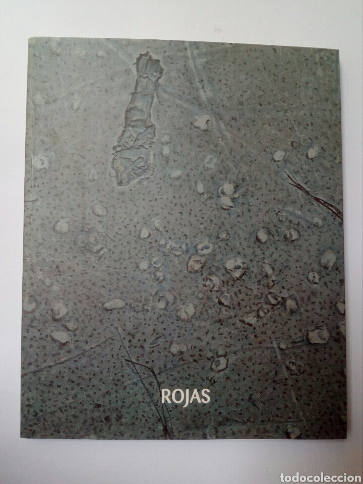 Gebrauchte B&uuml;cher: Rojas pinturas 2000 2004 Talavera de la Reina a&ntilde;o 2004 cat&aacute;logo . Pintura siglo XX