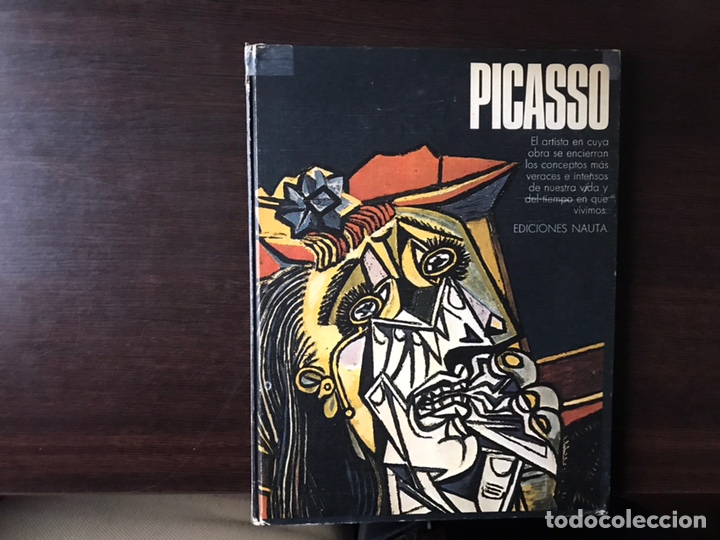 Libros de segunda mano: Picasso. Ediciones Nauta. Buen estado - Foto 1