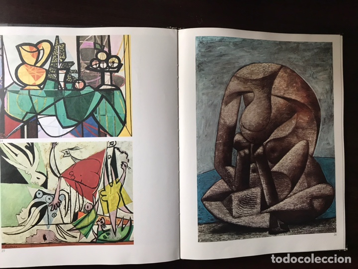 Libros de segunda mano: Picasso. Ediciones Nauta. Buen estado - Foto 7