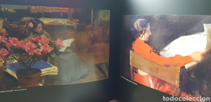 Libros de segunda mano: Felipe Garin, Facundo tomas.Joaquin Sorolla - Foto 8