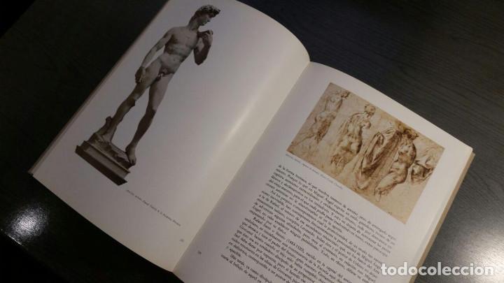 Libros de segunda mano: EL DESNUDO EN LAS ARTES - Foto 7