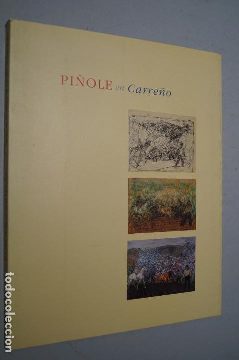 Libros de segunda mano: PI&Ntilde;OLE EN CARRE&Ntilde;O - Foto 1