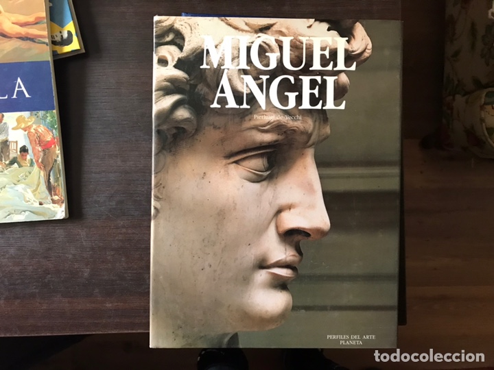 Libros de segunda mano: Miguel angel. Pierluigi de Vecchi - Foto 1