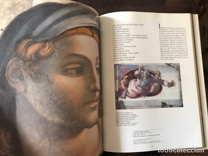 Libros de segunda mano: Miguel angel. Pierluigi de Vecchi - Foto 7