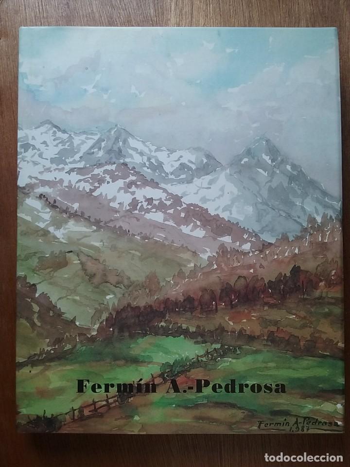 Libri di seconda mano: FERMIN A PEDROSA, CAMCO, 1996, PINTURA