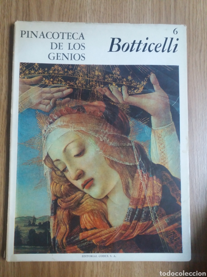 Libros de segunda mano: Pinacoteca de los genios. Botticelli. 6. Ed. Codex. 1964 - Foto 1