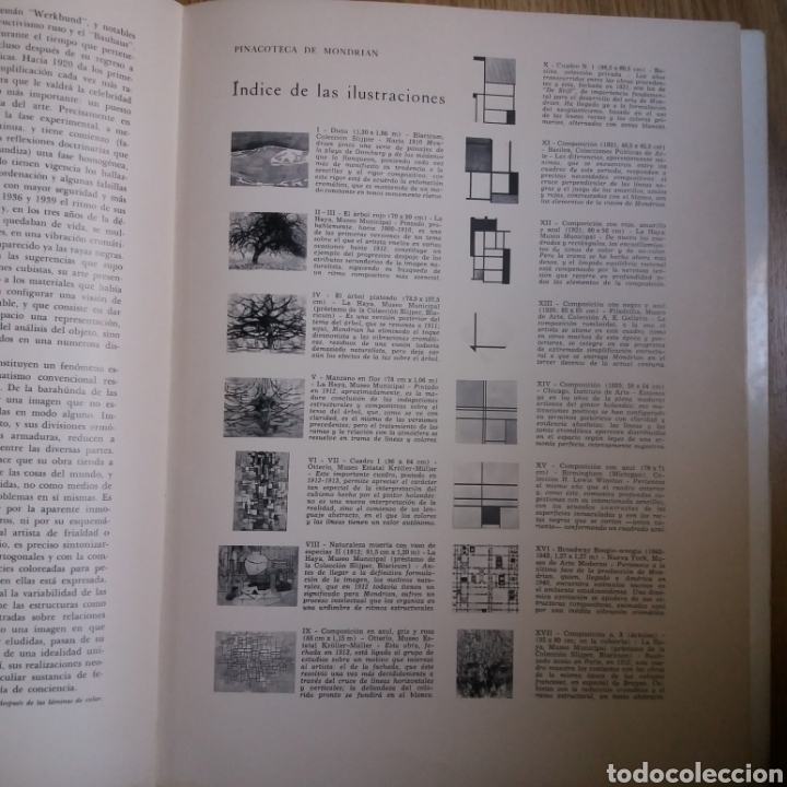 Libros de segunda mano: Pinacoteca de los genios. Mondrian. Num. 61. Codex 1964 - Foto 6