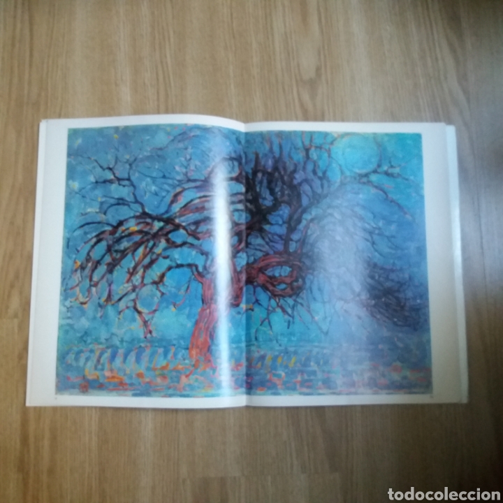 Libros de segunda mano: Pinacoteca de los genios. Mondrian. Num. 61. Codex 1964 - Foto 7