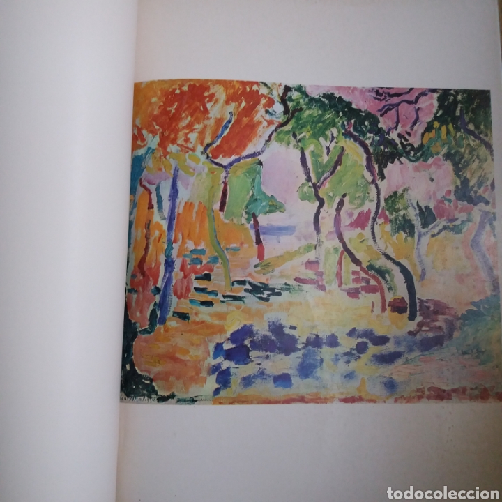 Libros de segunda mano: Pinacoteca de los genios. Matisse. Num 43. Codex 1964 - Foto 6