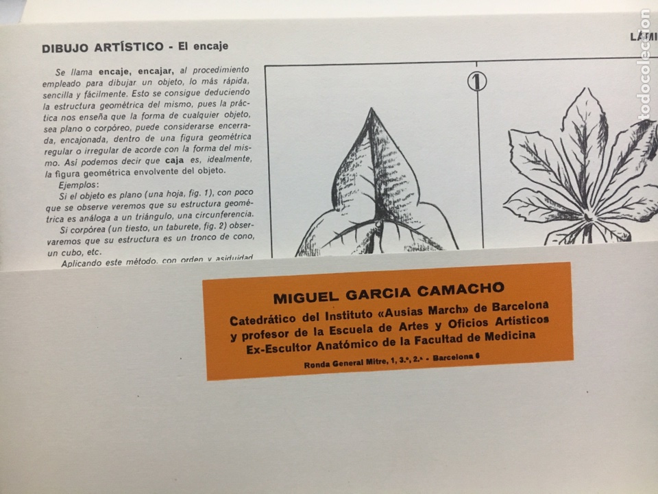 Libros de segunda mano: Profesor Garcia camacho libro laminas - Foto 2