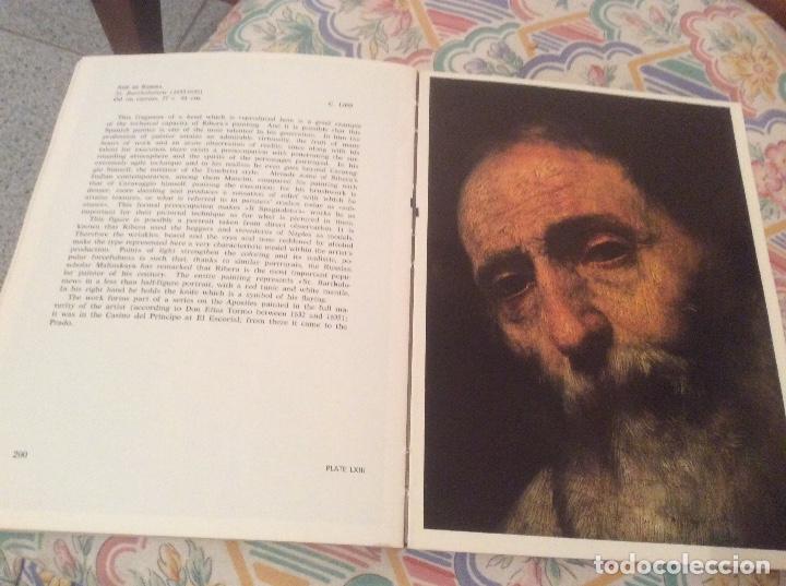 Libros de segunda mano: A basic guide to The Prado Museum - J. Rogelio Buendia - Foto 2