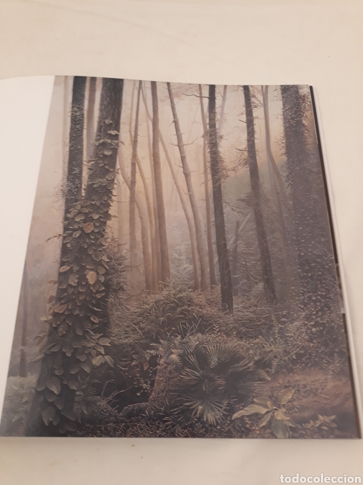 Libros de segunda mano: Alberto vazquez.Proceso de una idea.Sammer. - Foto 5