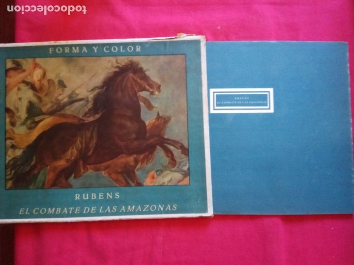 Libros de segunda mano: FORMA Y COLOR - PUYVELDE : RUBENS - EL COMBATE DE LAS AMAZONAS. - Foto 1