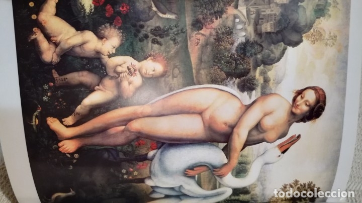 Libros de segunda mano: Leonardo, libro sobre Leonardo da Vinci - Foto 2