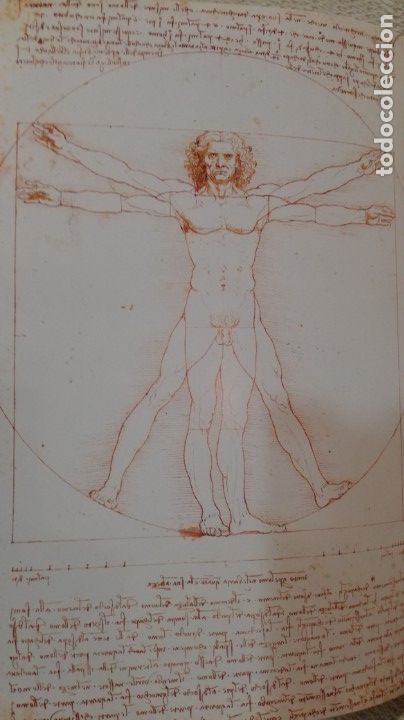 Libros de segunda mano: Leonardo, libro sobre Leonardo da Vinci - Foto 4