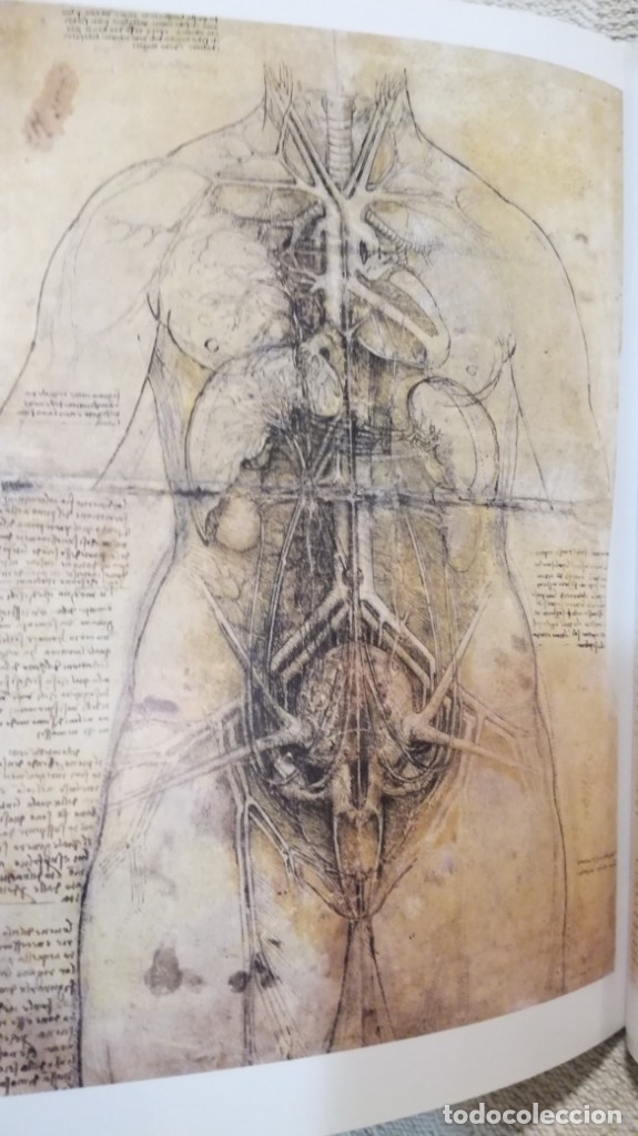Libros de segunda mano: Leonardo, libro sobre Leonardo da Vinci - Foto 5