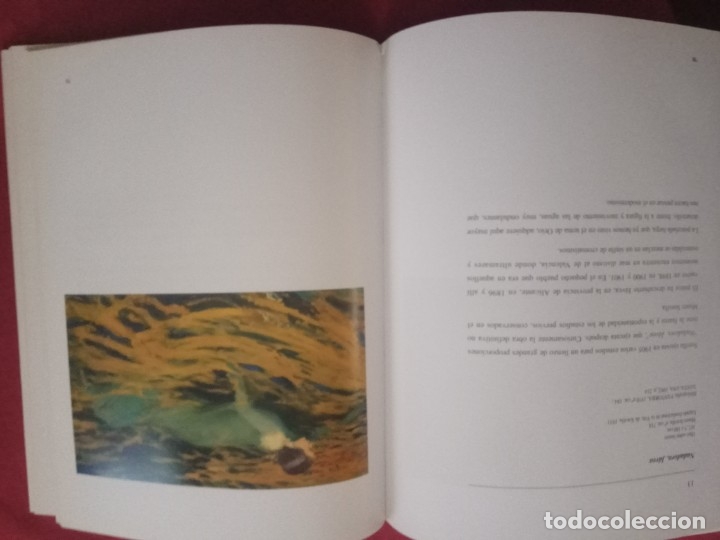 Libros de segunda mano: SOROLLA. CATALOGO- EXPOSICI&Oacute;N EN VIGO. - Foto 3