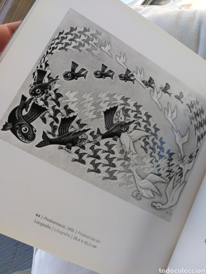 Libros de segunda mano: ESCHER, LA VIDA DE LES FORMES (FUNDACI&Oacute; LA CAIXA), 2003. - Foto 4