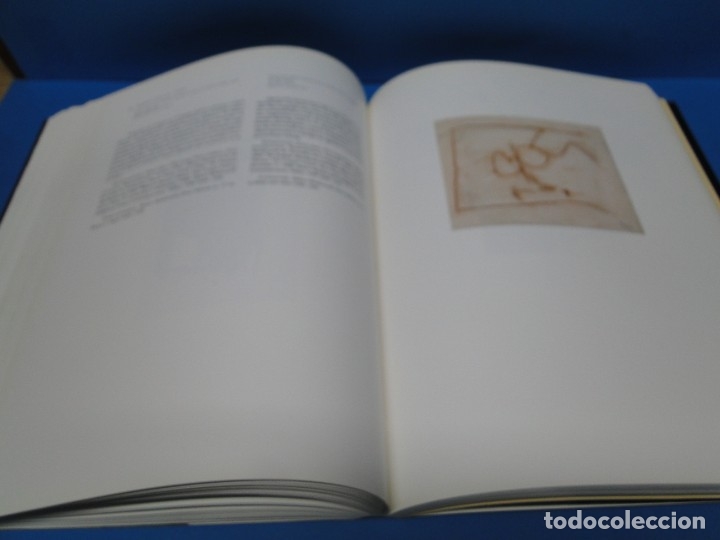 Libros de segunda mano: Robert Motherwell.- Dore Ashton - Foto 11