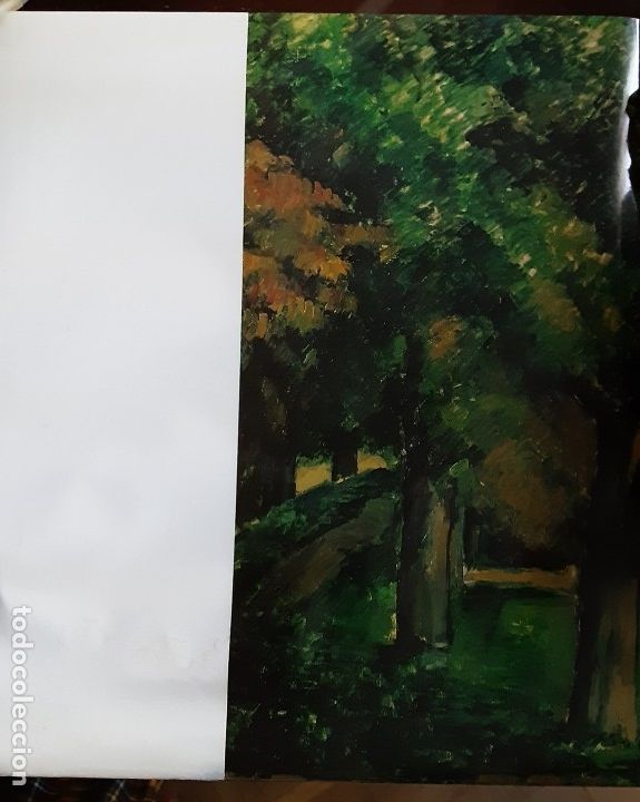 Libros de segunda mano: Cezanne - Skira 1991 (Franc&eacute;s) - Foto 8