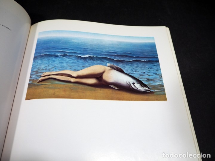 Libros de segunda mano: MAGRITTE. DAVID LARKIN. EDICIONES JUCAR. 1973 - Foto 3