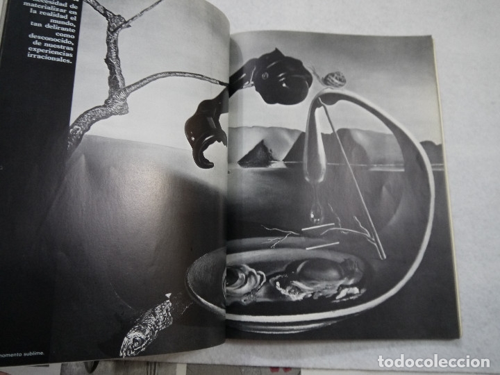Libros de segunda mano: DAL&Iacute;&hellip; DAL&Iacute;&hellip; DAL&Iacute;&hellip; - MAX G&Eacute;RARD - EDITORIAL GALAXIS - 1974 - Foto 2