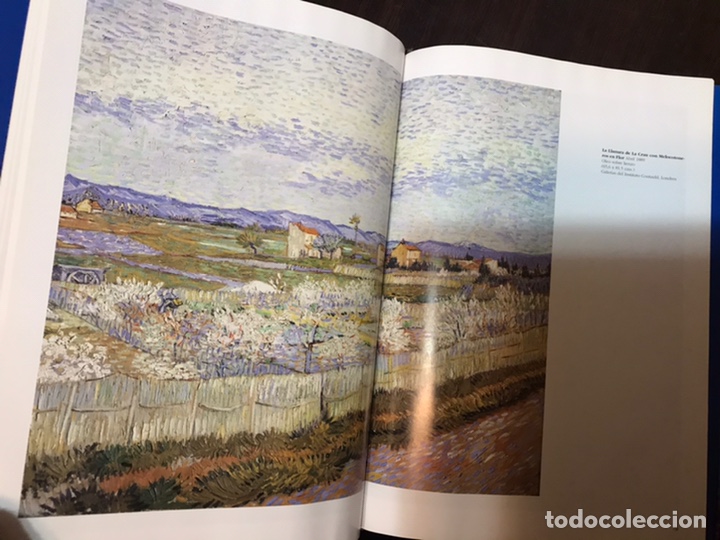 Libros de segunda mano: Van Gogh. Frank Milner. Libsa. Gran formato - Foto 11