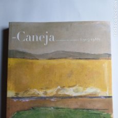 Libros de segunda mano: CANEJA CENTENARIO DEL NACIMIENTO 1905/1988 .. CENTRO DE ARTE REINA SOFÍA 2005 . .PINTURA SIGLO XX