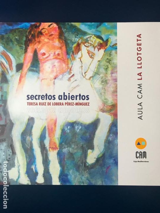 Libros de segunda mano: Secretos abiertos / Teresa Ruiz de Lobera P&eacute;rez-M&iacute;nguez * EXPOSICI&Oacute;N CAM VALENCIA 2009 *