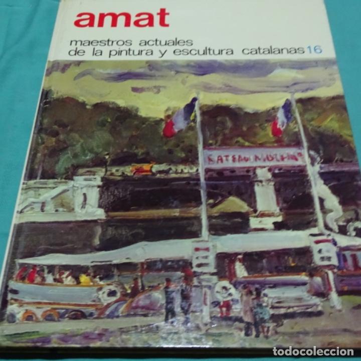 Second hand books: Libro maestros actuales. 16 Josep Amat