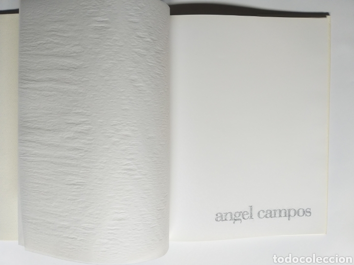 Libros de segunda mano: &Aacute;ngel Campos . Pinturas - Foto 5