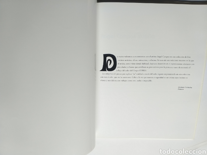 Libros de segunda mano: &Aacute;ngel Campos . Pinturas - Foto 6