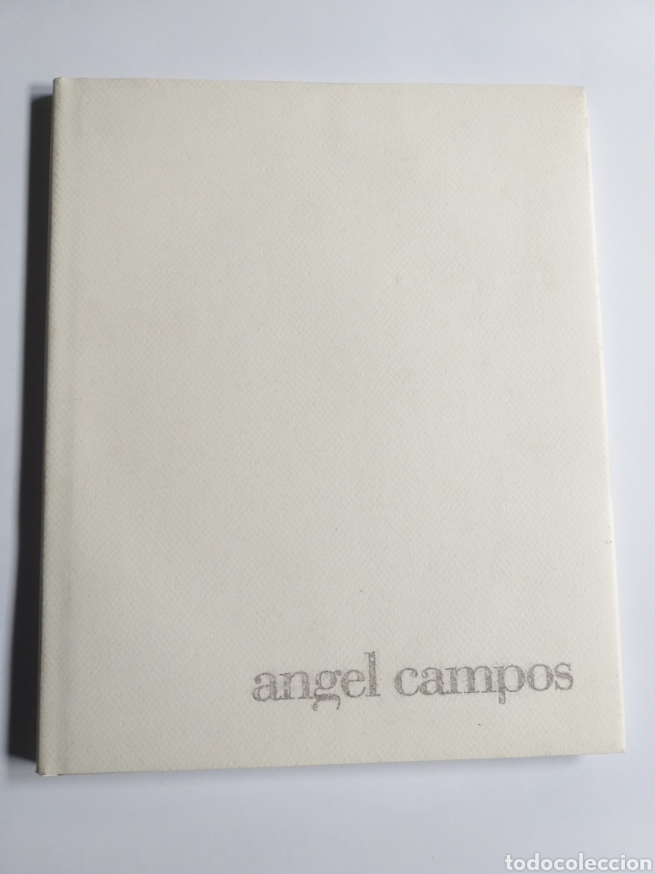 Libros de segunda mano: &Aacute;ngel Campos . Pinturas - Foto 1