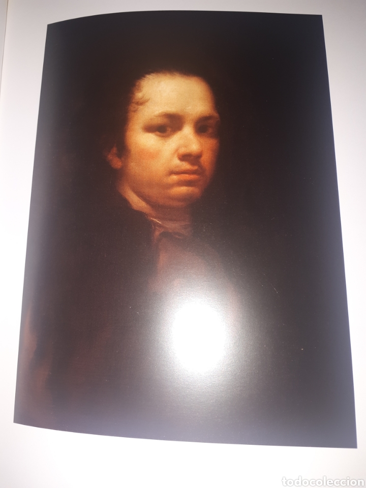 Libros de segunda mano: LA MIRADA DE GOYA - Foto 3