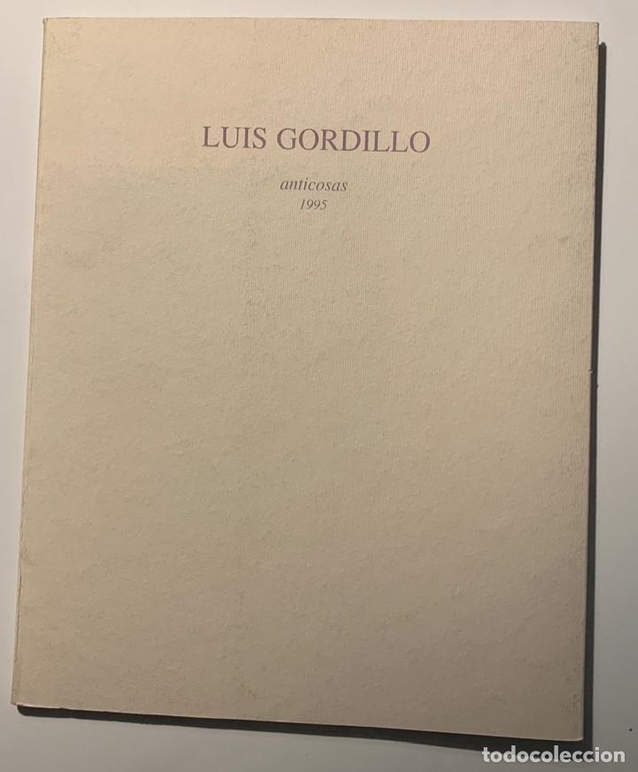 Libros de segunda mano: Luis Gordillo. Anticosas 1995 - Foto 1