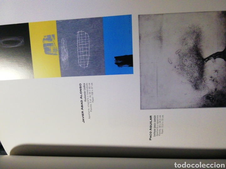 Libros de segunda mano: IX BIENAL INTERNACIONAL DE GRABADO CAIXANOVA - Foto 3