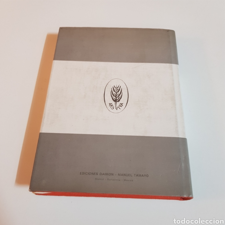Libros de segunda mano: EL GRECO 1973 ED. DAIMON - Foto 6