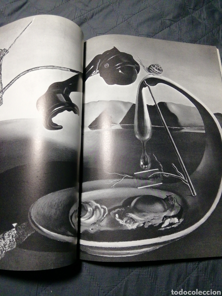 Libros de segunda mano: DAL&Iacute;... DAL&Iacute;... DAL&Iacute;... - Foto 3