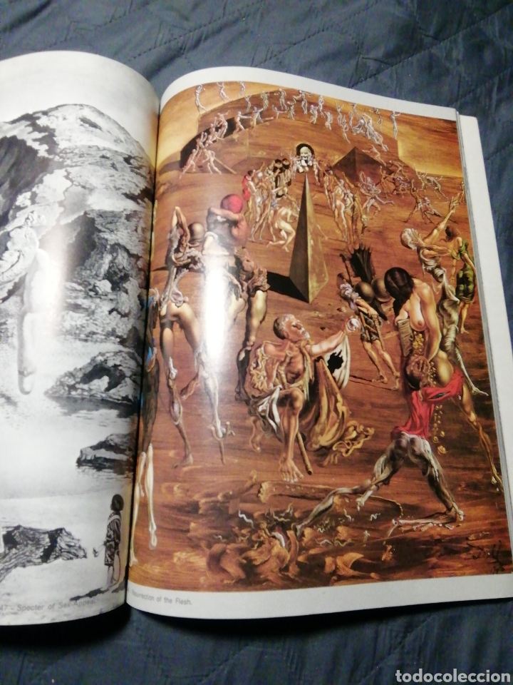 Libros de segunda mano: DAL&Iacute;... DAL&Iacute;... DAL&Iacute;... - Foto 4