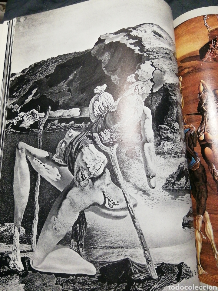 Libros de segunda mano: DAL&Iacute;... DAL&Iacute;... DAL&Iacute;... - Foto 5