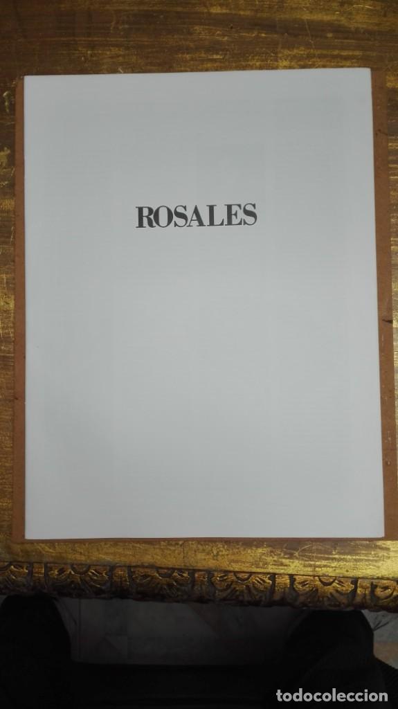 Libros de segunda mano: Rosales - Foto 1