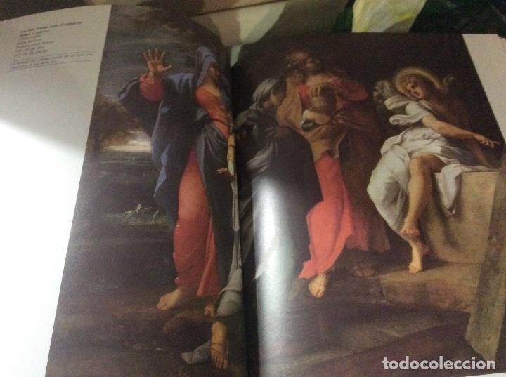 Libros de segunda mano: MUSEO DEL ERMITAGE. EDICIONES VINCULO - Foto 4