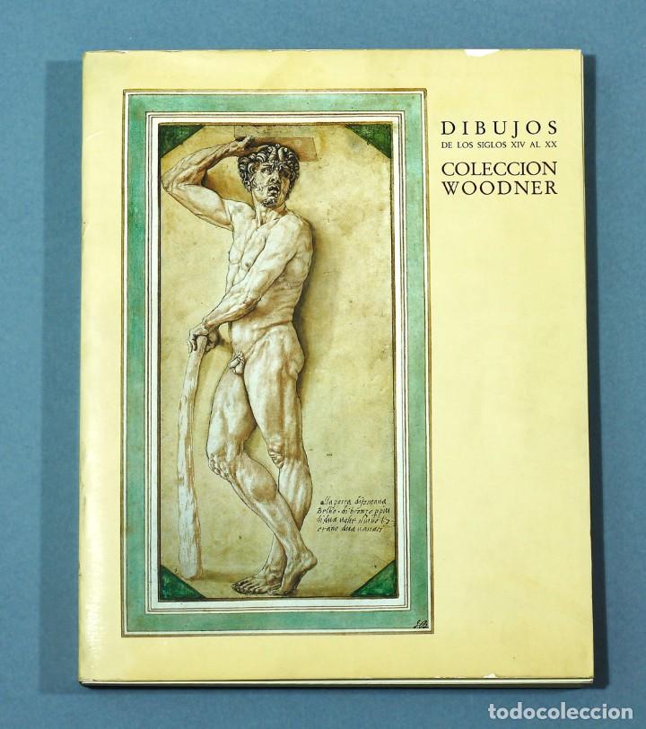 Libri di seconda mano: CAT&Aacute;LOGO DE LA EXPOSICI&Oacute;N: DIBUJOS DE LOS SIGLOS XIV AL XX, COLECCI&Oacute;N WOODNER. 1986-87. BUEN ESTADO.
