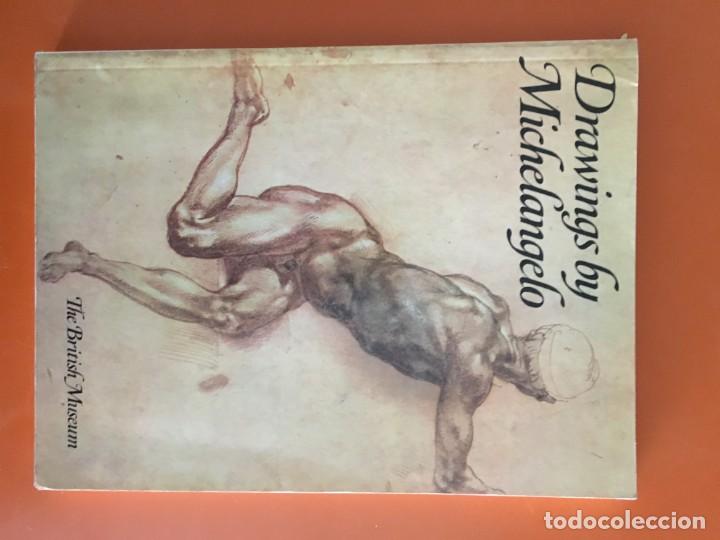 Libros de segunda mano: Drawings by Michelangelo - Foto 1